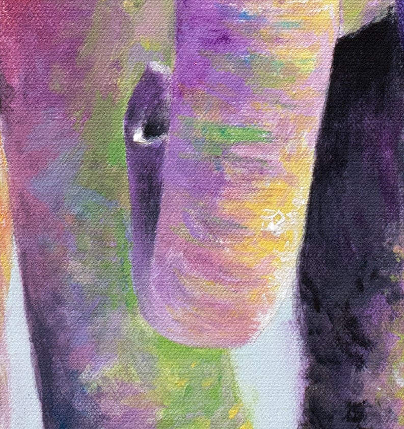 Elephant Art Print - Titan from the Sedgwick County Zoo - Image 3