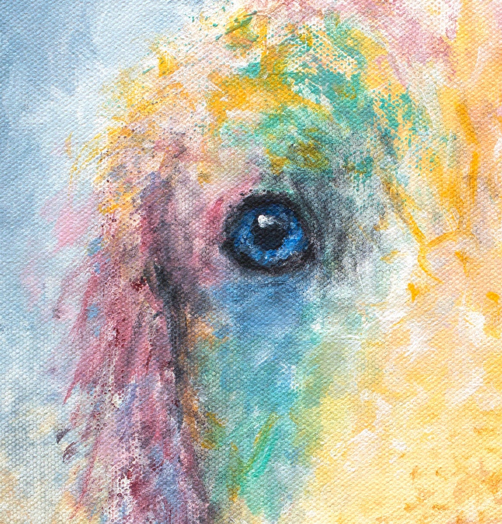 Golden Retriever Print - Kansas Jayhawk - Image 2