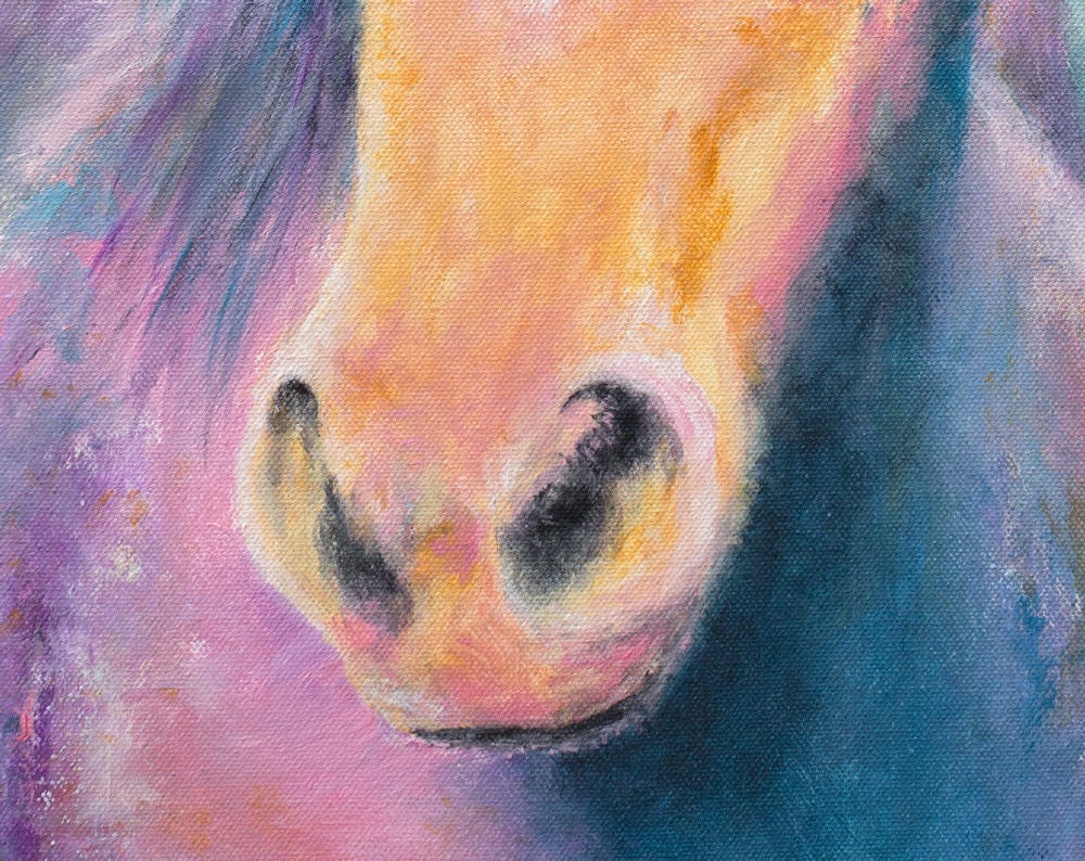 Rainbow Horse Art Print - Image 2