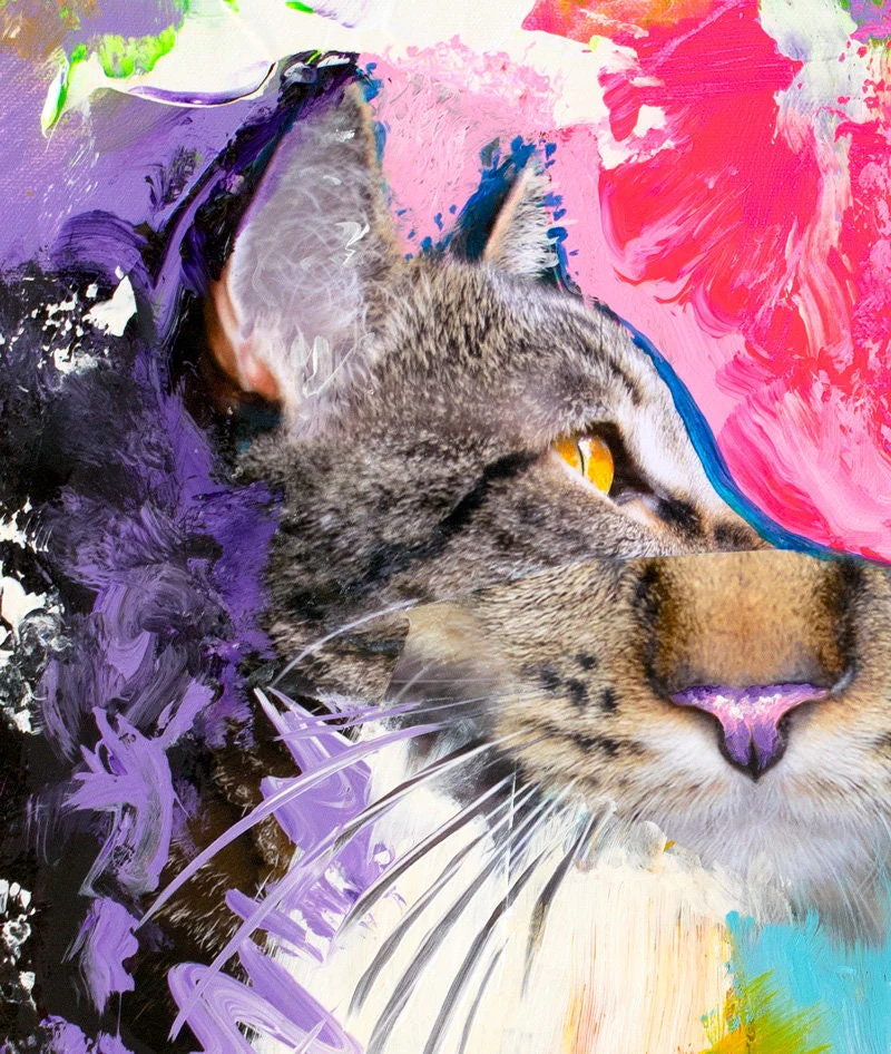 King Samadhi Cat Print - Image 4