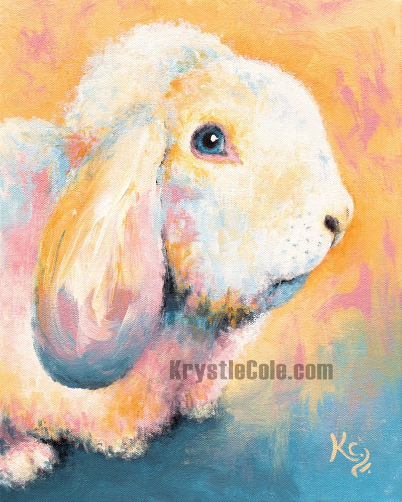 Holland Lop Rabbit Art Print - Frank