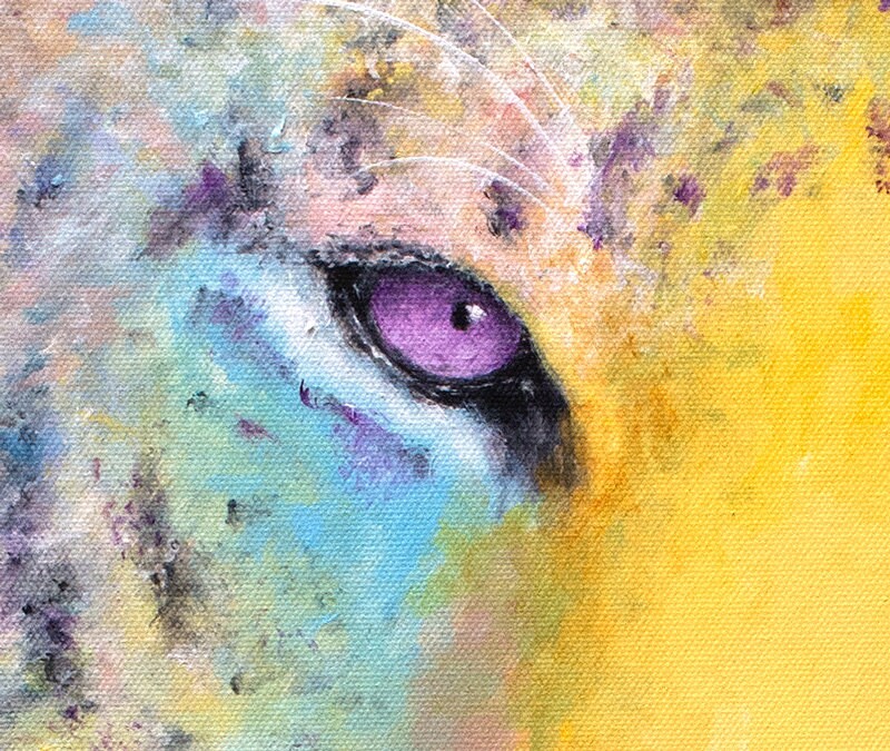 Tiger Art Print - Natasha from Sedgwick County Zoo - Image 3