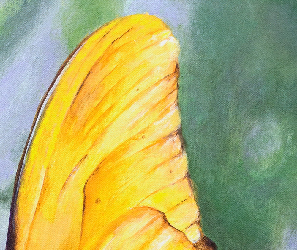 Yellow Butterfly Print - Image 4